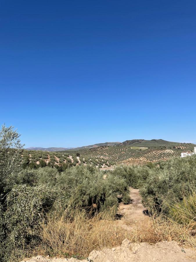 Вілла Lafrenchtouch - Relajate Y Desconecta Al Pueblo Villanueva de Tapia Екстер'єр фото